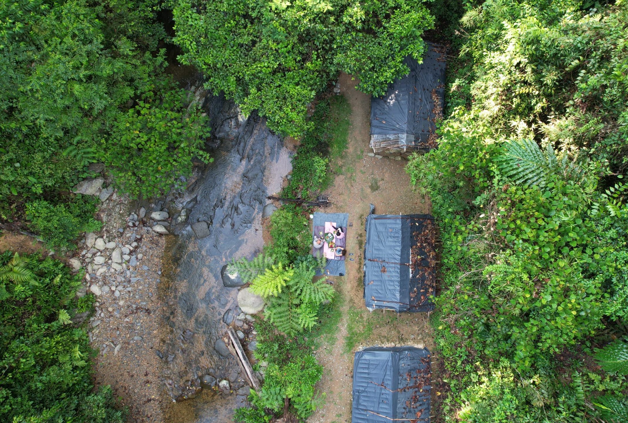 camp_de_base_jungle_bukitlawang