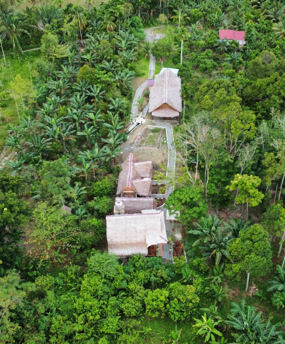 Ecolodge_vue_du_ciel