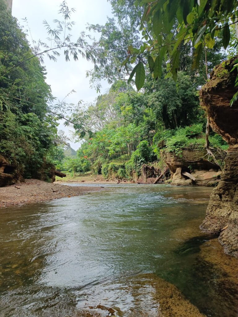 riviere_jungle_bukitlawang_sumatra