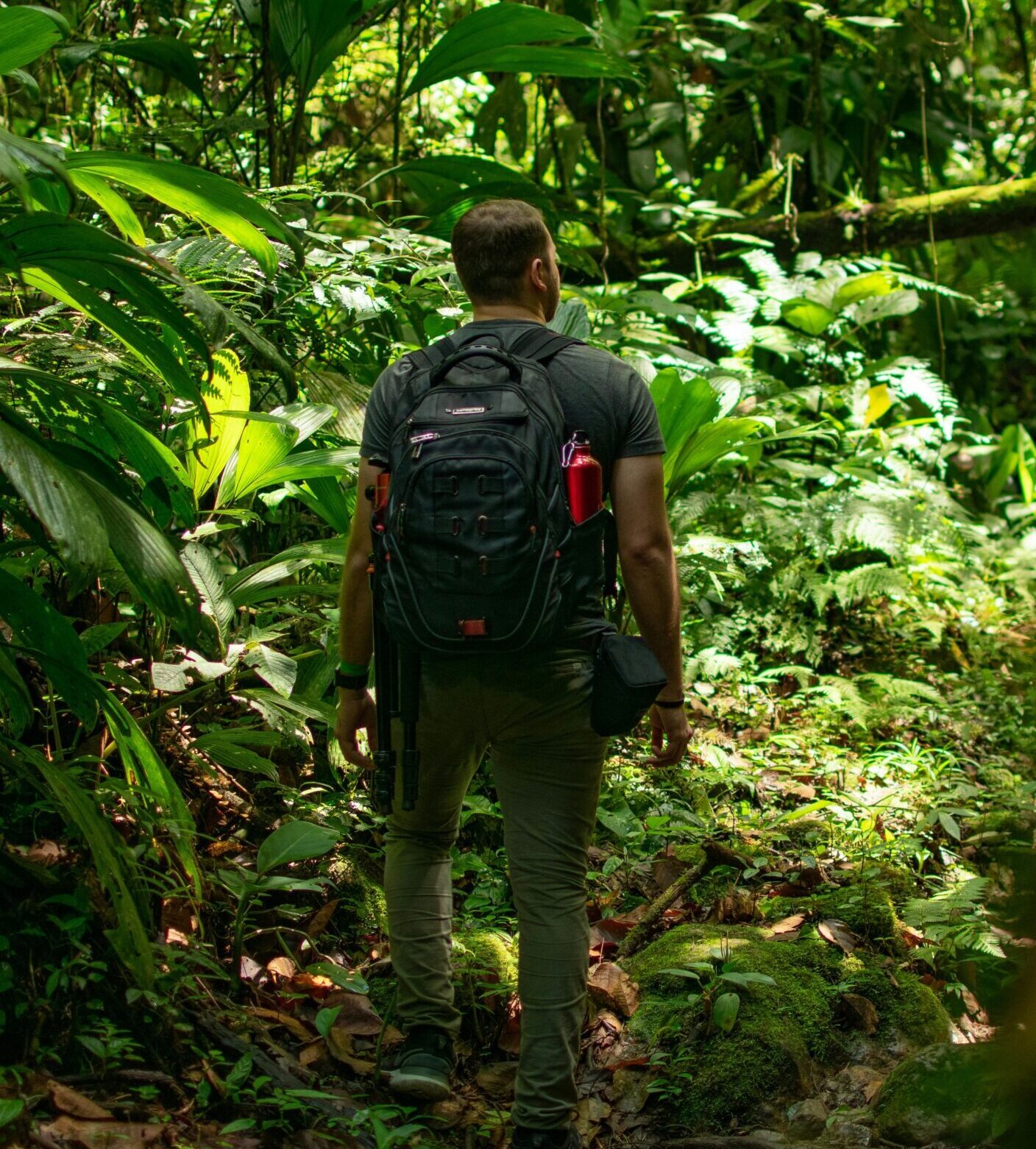 randonneur_ jungle_indonnésienne_orangutanadventure