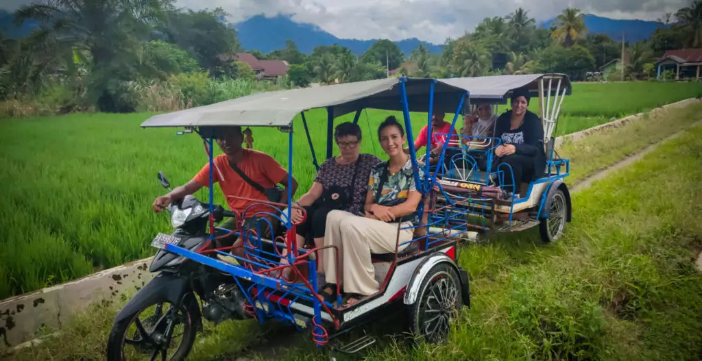 village_tour_en_becak_bukit_lawang_orangutanadventure