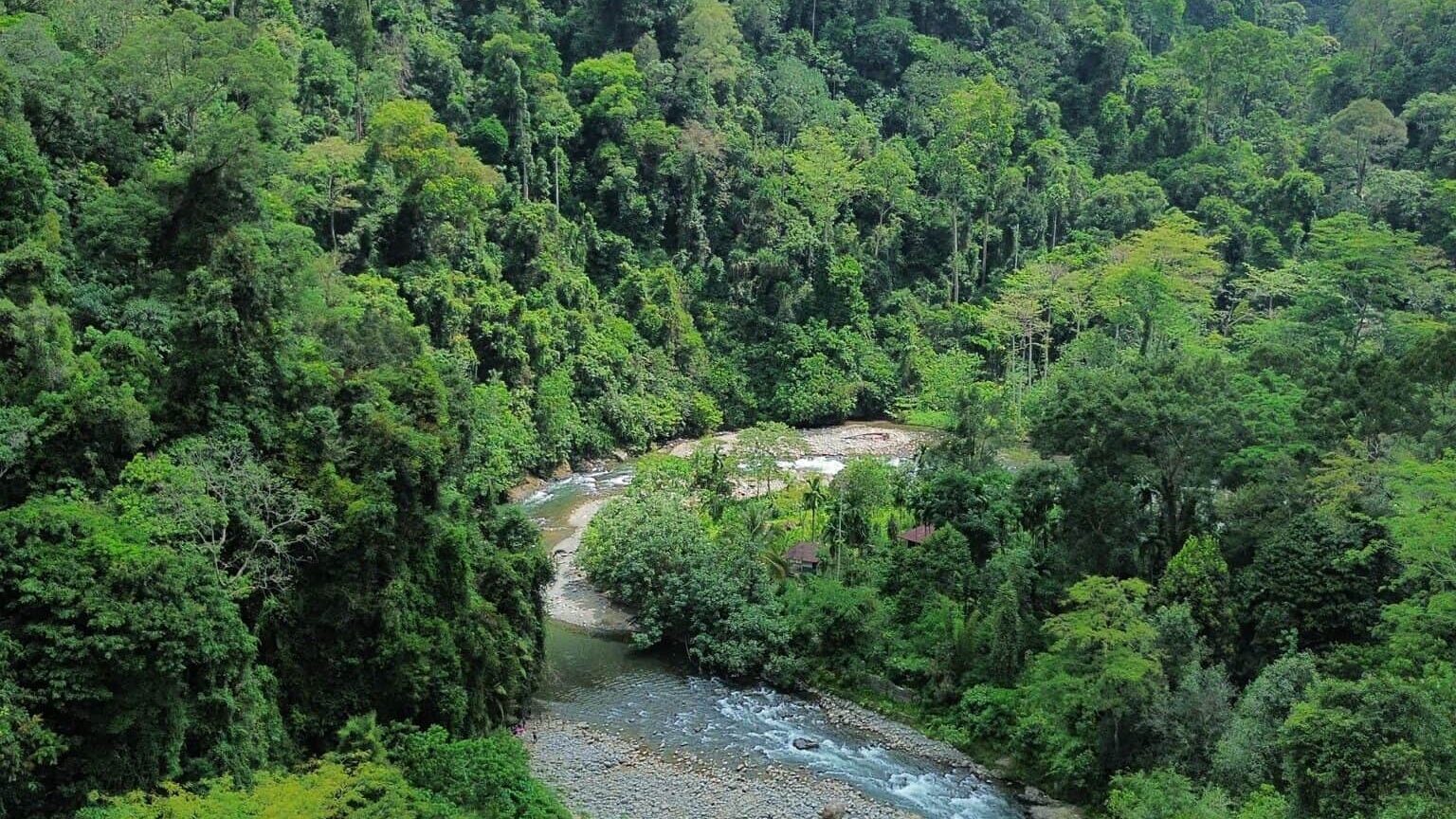 vue_du_ciel_jugnle_bukit_lawang